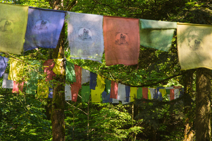 Yoga-Auszeit im Bergdorf Bordo