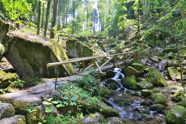 Yoga-Reise in den Schwarzwald mit Ayurveda