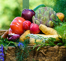 Yoga & Ernährung